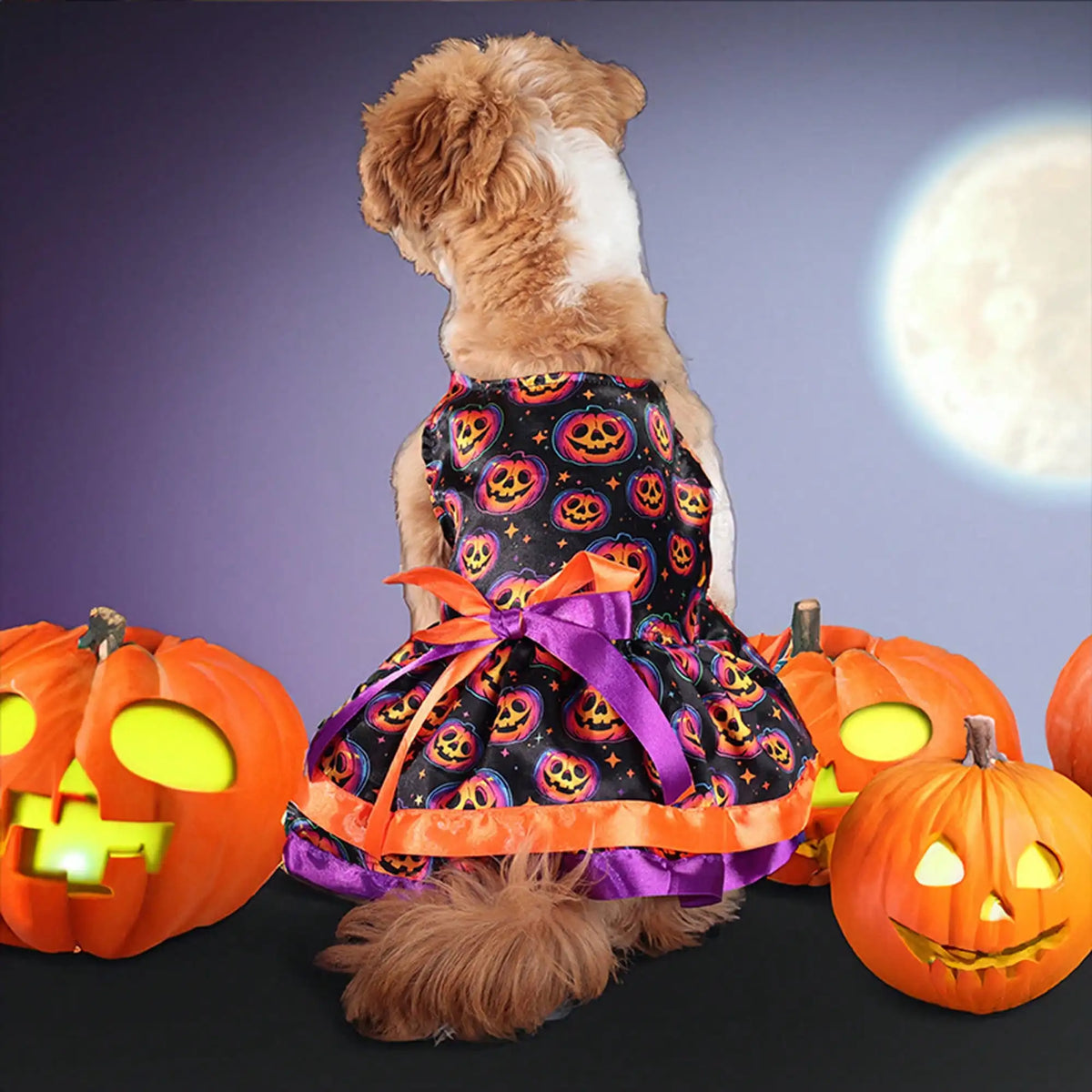 Funny Halloween Pumpkin and Skull Print Dog Dress with Bowknot