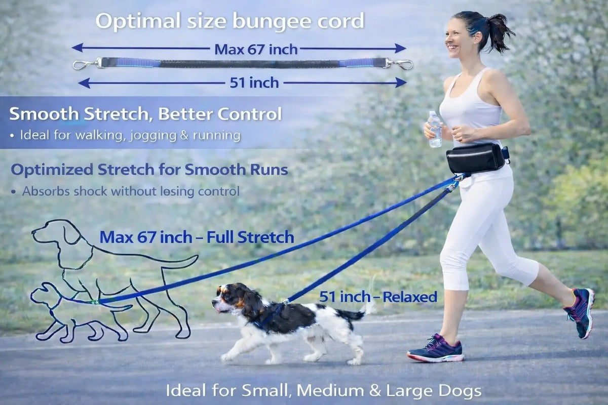 Hands Free Dog Leash With Waist Belt And Zipper Pouch