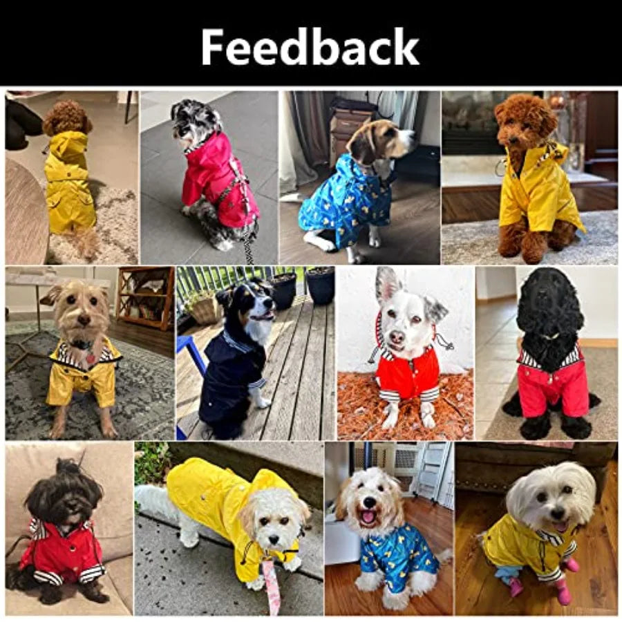 Dog Zip Up Raincoat With Reflective Details And Removable Hood