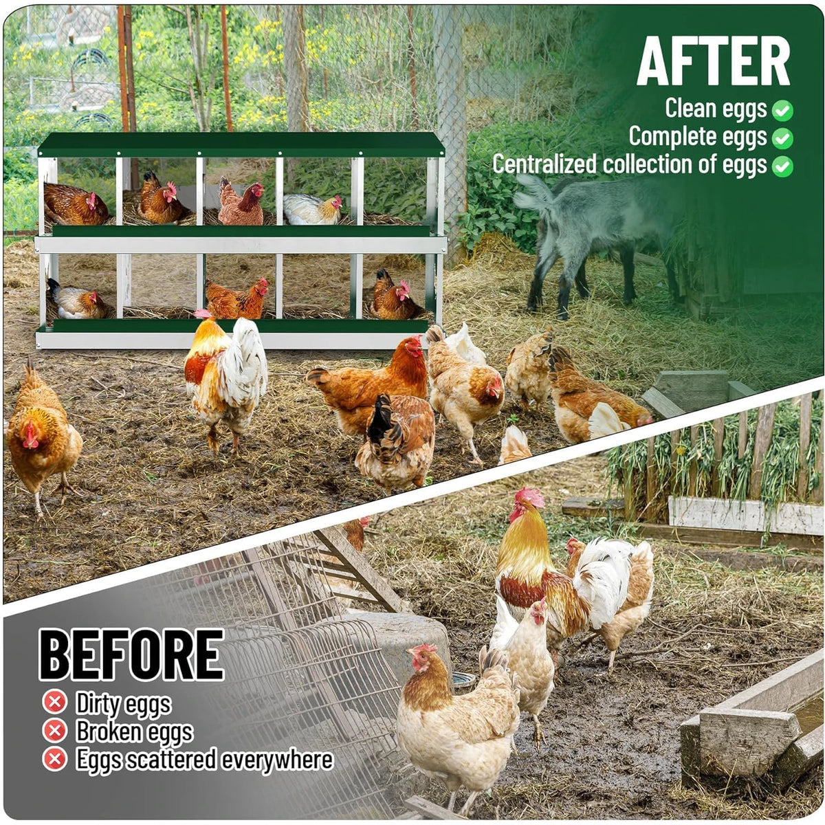 HiMISS Galvanized Steel Chicken Nesting Boxes With Rollout Egg Collection