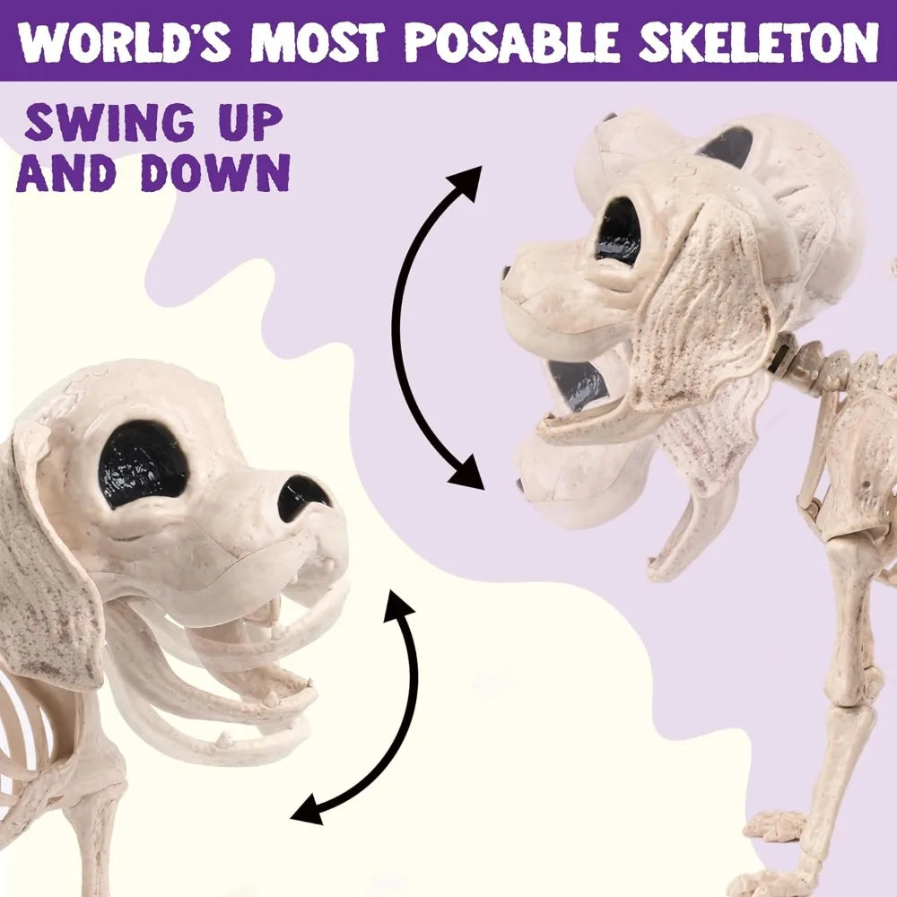 Posable Halloween Dog Skeleton Decoration With Movable Joints For Parties