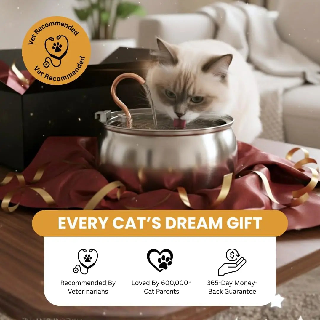 KittySpout Stainless Steel Wireless Cat Water Fountain for Pets