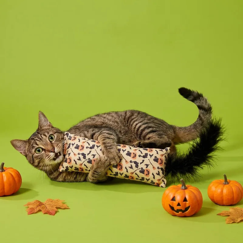 Halloween Cat Kicker Toy With Feather And Festive Pumpkin Design