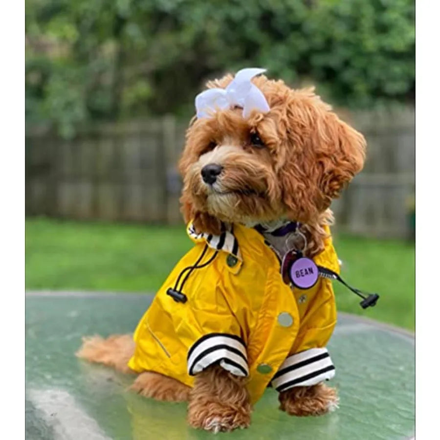 Dog Zip Up Raincoat With Reflective Details And Removable Hood