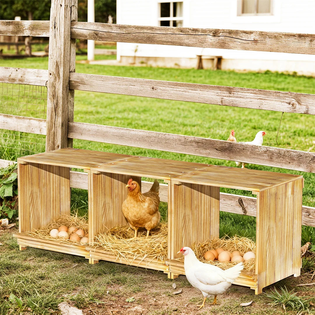 BINGOPAW Pine Wood Chicken Nesting Box With Three Egg Compartments