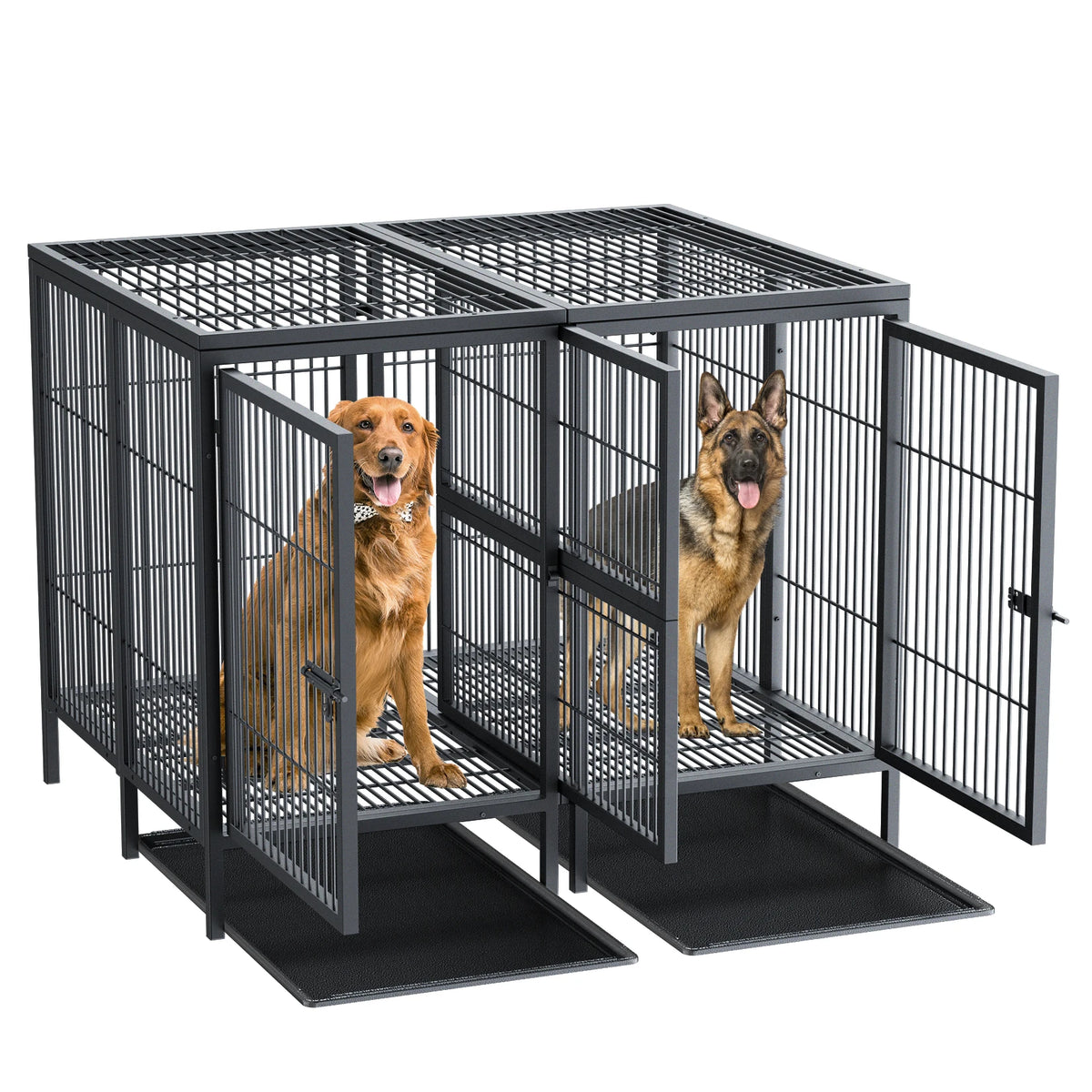 BORWART Heavy Duty Metal Dog Crate With Removable Divider Panel