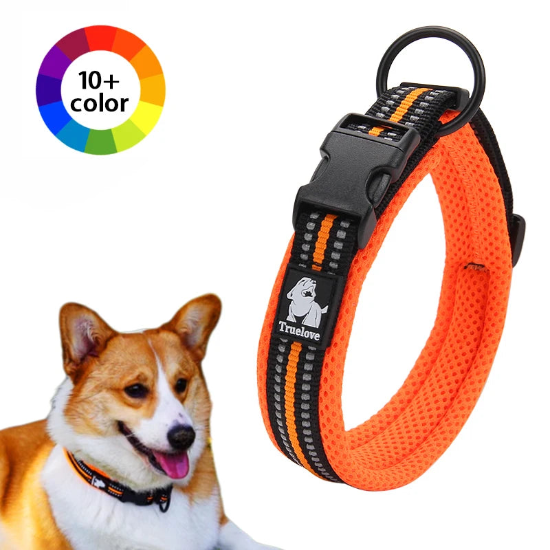 Winhyepet Padded Nylon Dog Collar With Secure Buckle For Walking