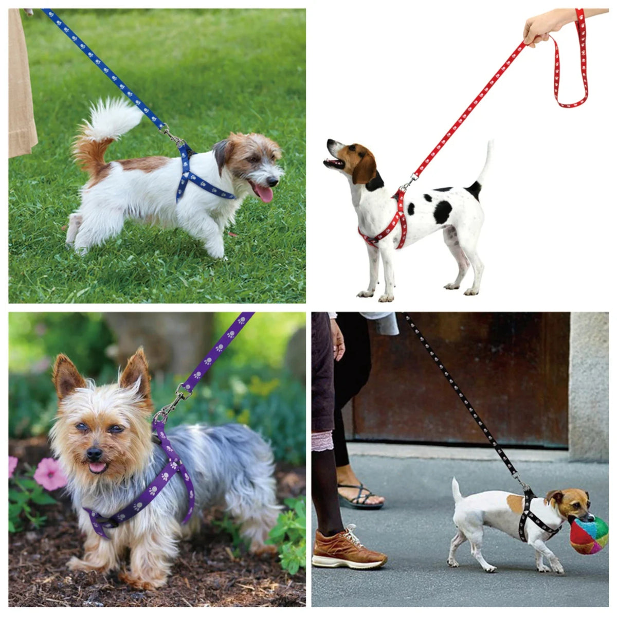 Adjustable Paw Print Nylon Dog Harness and Leash Set for Walking