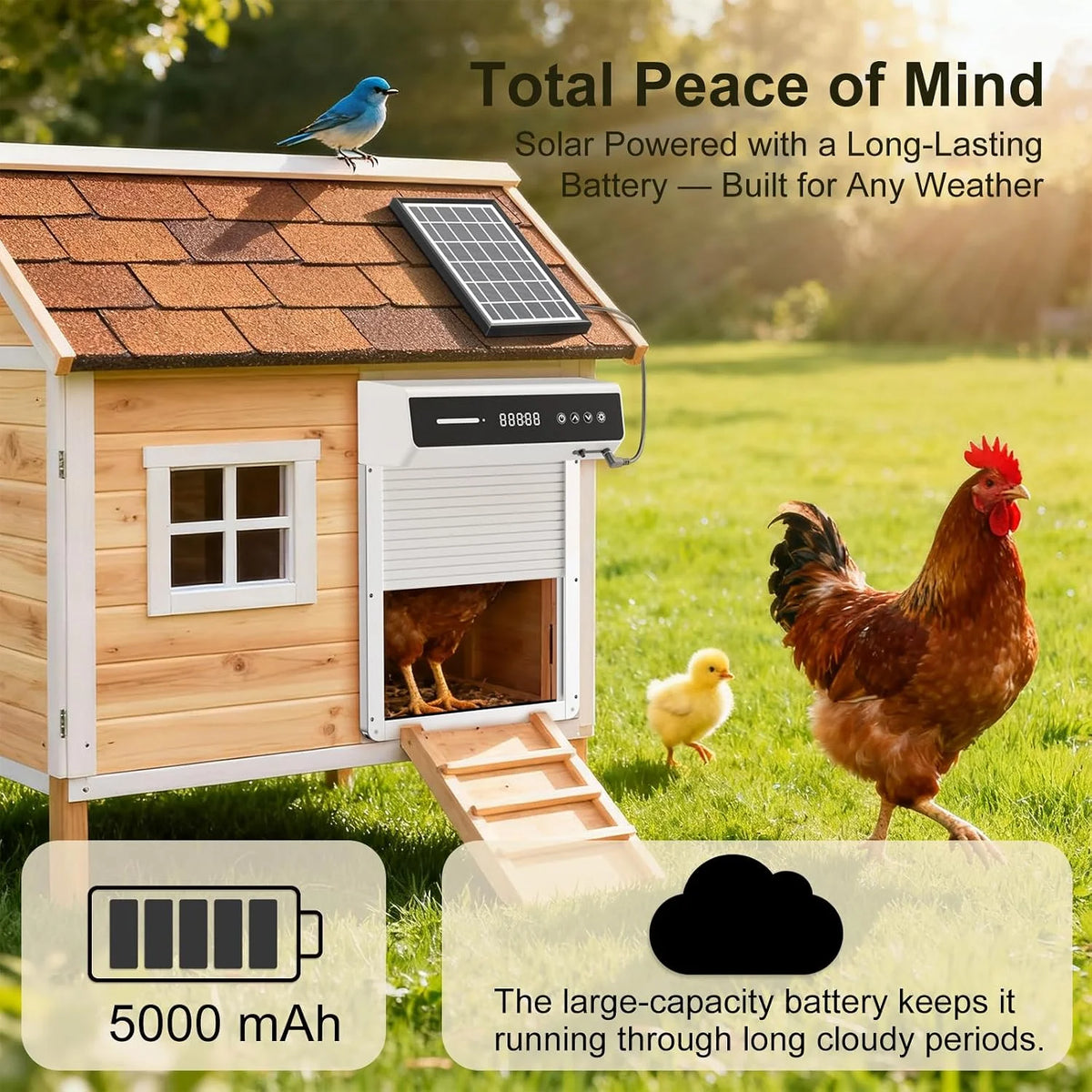 Solar Powered Automatic Chicken Coop Door With Light Sensor Timer