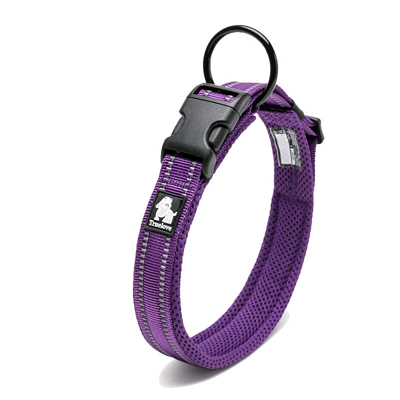 Winhyepet Padded Nylon Dog Collar With Secure Buckle For Walking