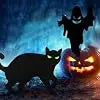 Halloween Black Cat And Ghost Yard Decorations With Stakes