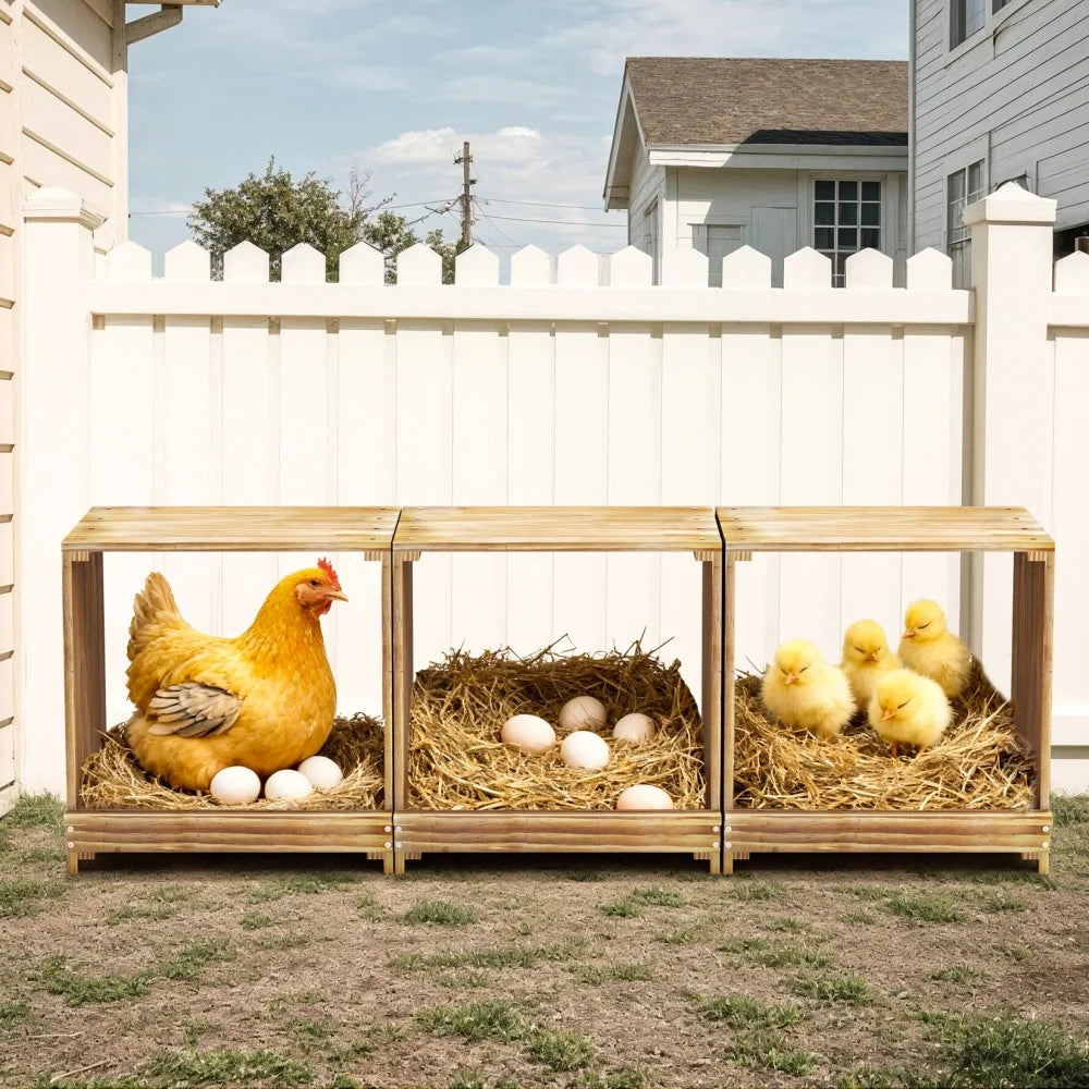 Wooden Chicken Nesting Box With Three Egg Compartments
