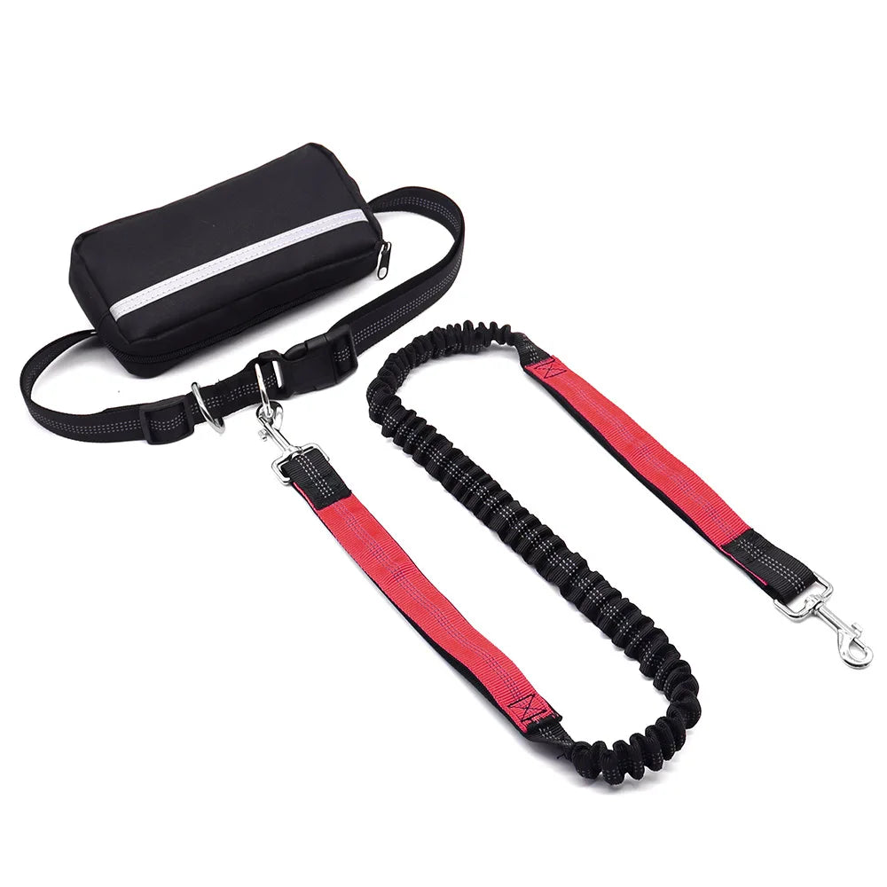 Hands Free Dog Leash With Waist Belt And Zipper Pouch