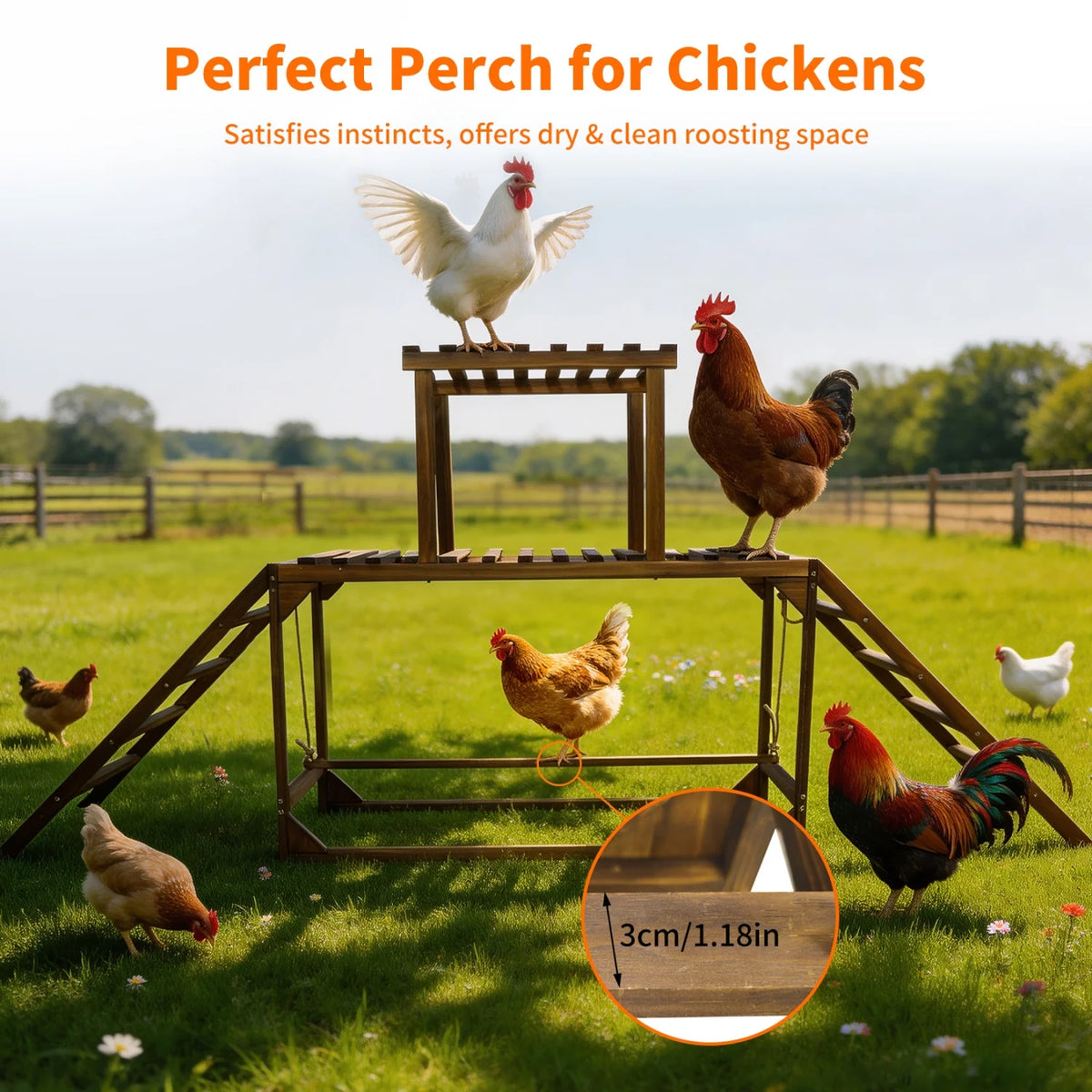 BINGOPAW Wooden Chicken Perch Swing With Ladder And Activity Toys