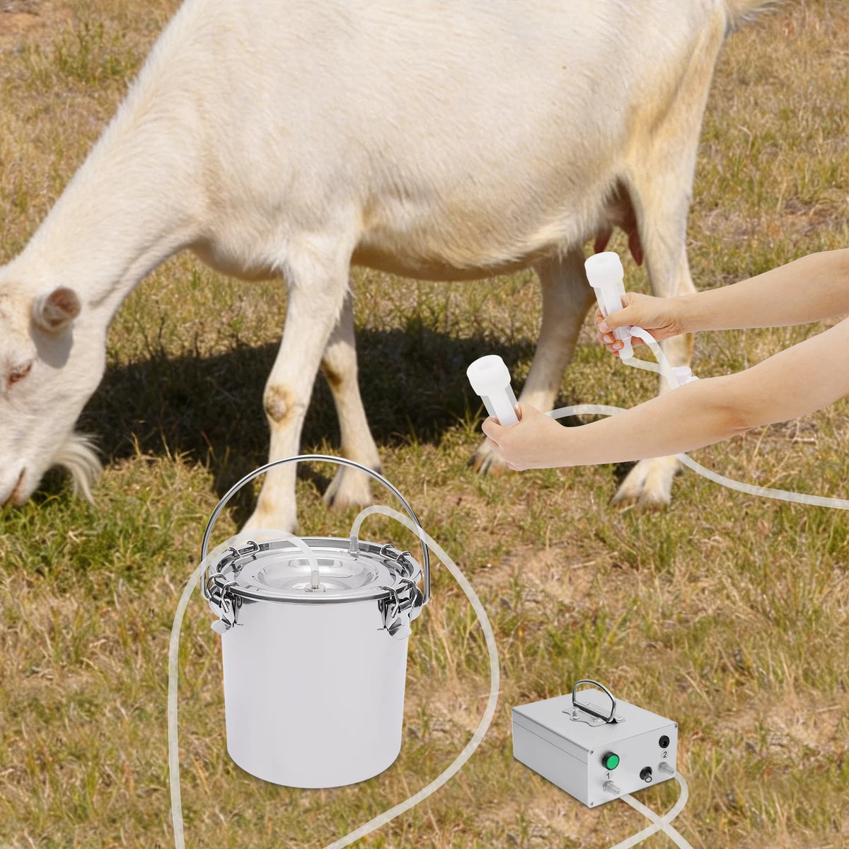 Humane Goat And Sheep Milking Machine With Pulsation Vacuum System