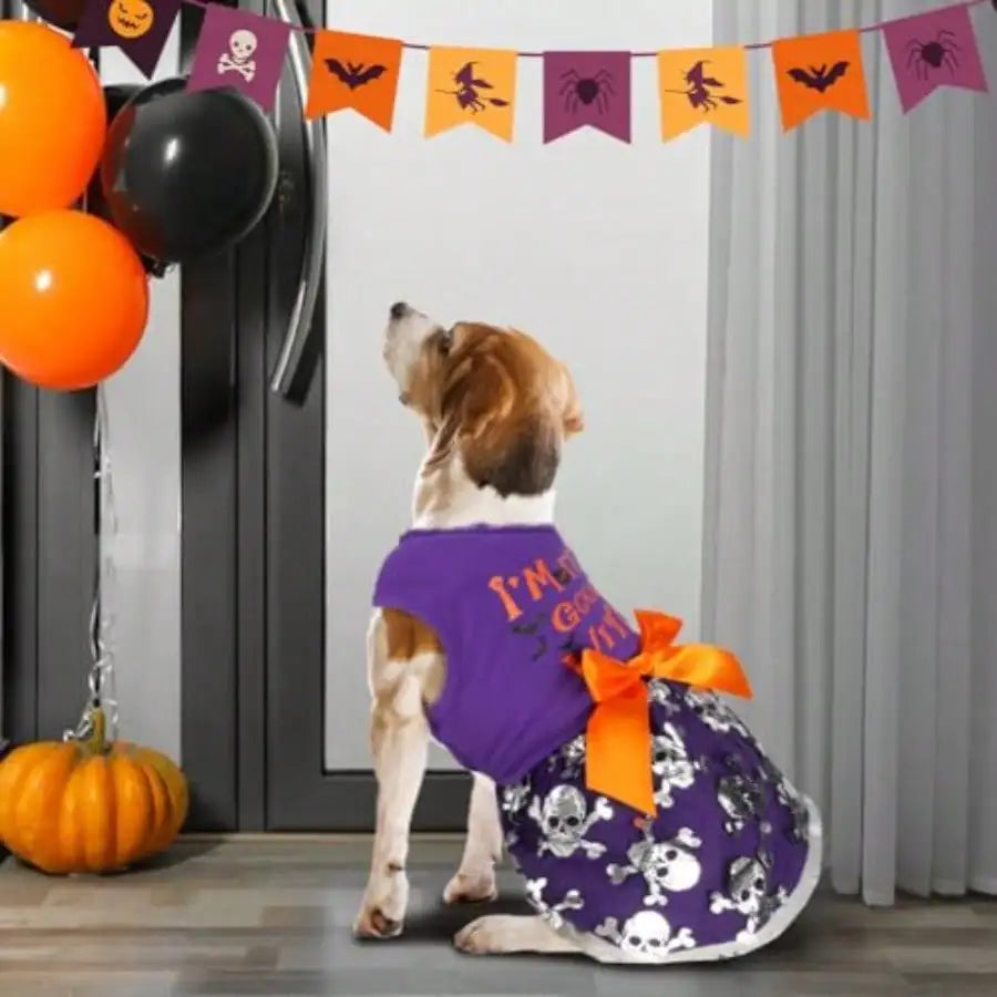 Funny Dog Halloween Costume Dress With Bow Pumpkin Witch Bat Outfit