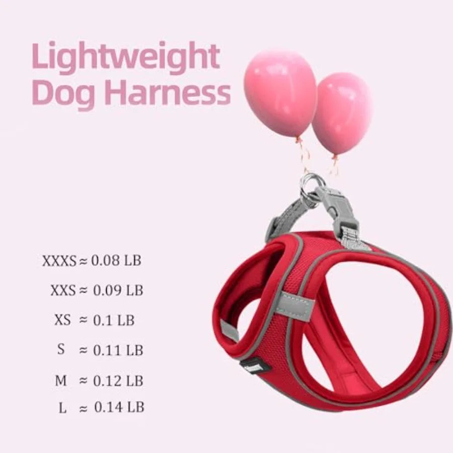 Sparkly Reflective Step In Dog Harness and Leash Set for Puppies