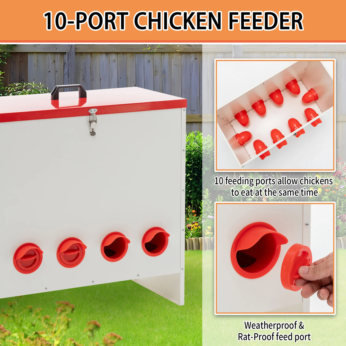 Rat Proof Metal Poultry Feeder With No Waste Design