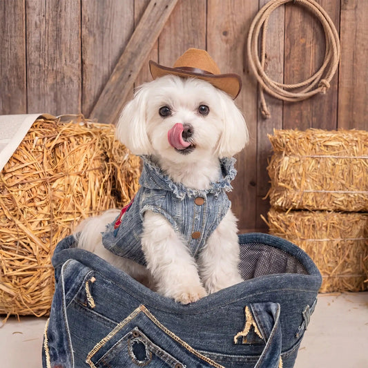 Pet Denim Clothing With Embroidered Pony Pattern Design