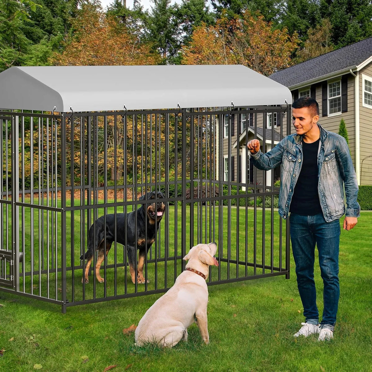Outdoor Dog Kennel With Galvanized Steel Frame And Waterproof Roof