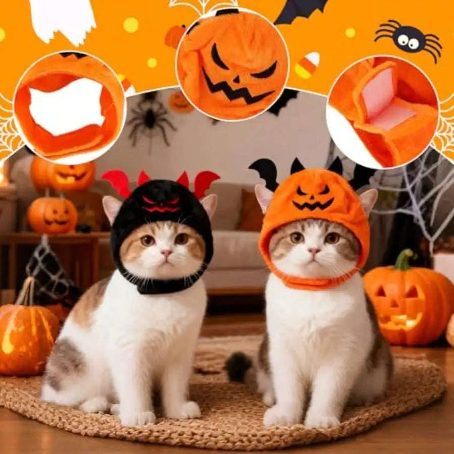 Halloween Cat Costume Set With Pumpkin, Bat, And Festive Scarves