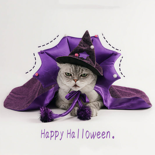 Halloween Witch Costume With Cloak And Hat For Pets