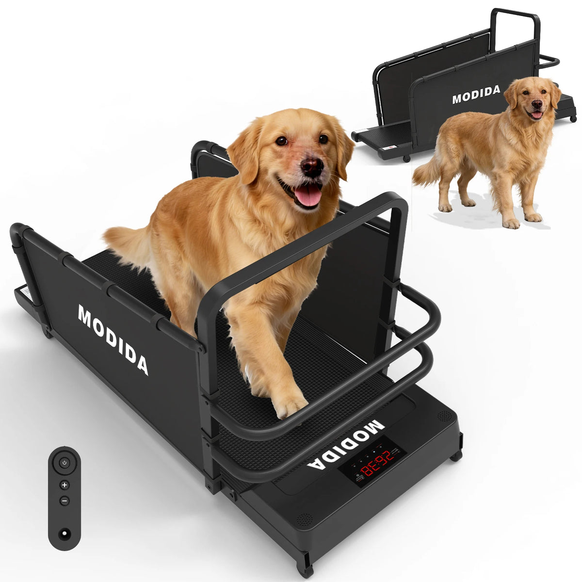 MODIDA Indoor Dog Treadmill for Adjustable Speed Home Exercise